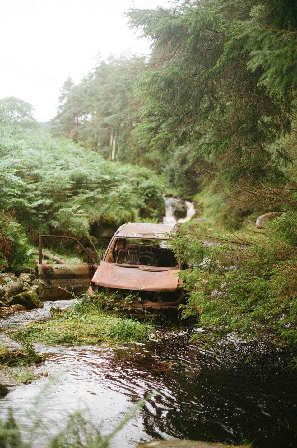 A burnt-out vehicle sits in a stream surrounded by lush green foliage and trees.