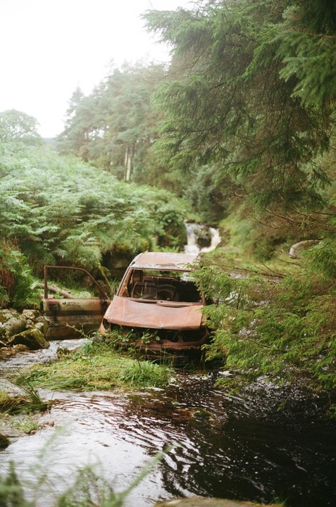 A burnt-out vehicle sits in a stream surrounded by lush green foliage and trees.