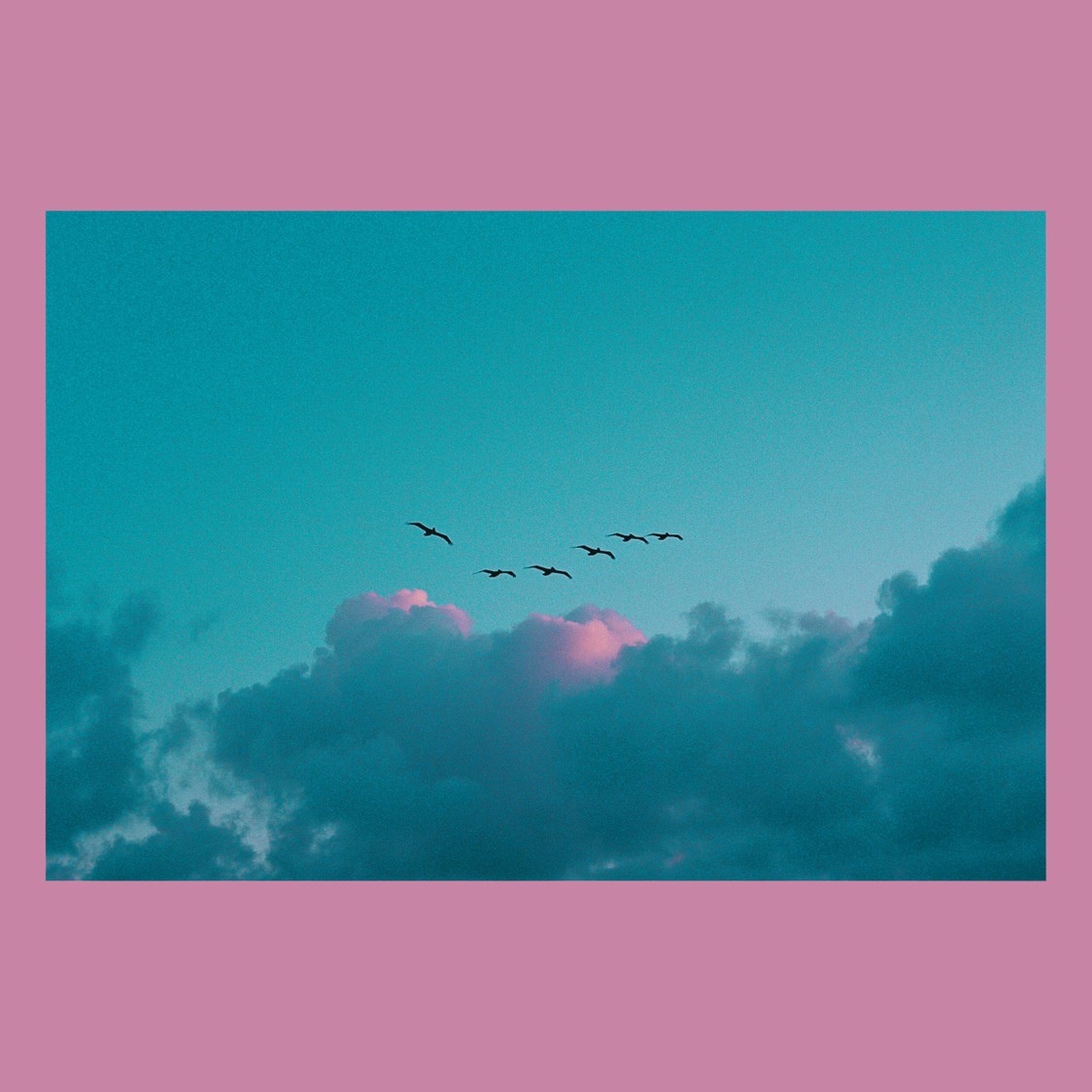 A flock of birds flies across a teal sky with pink-tinged clouds.