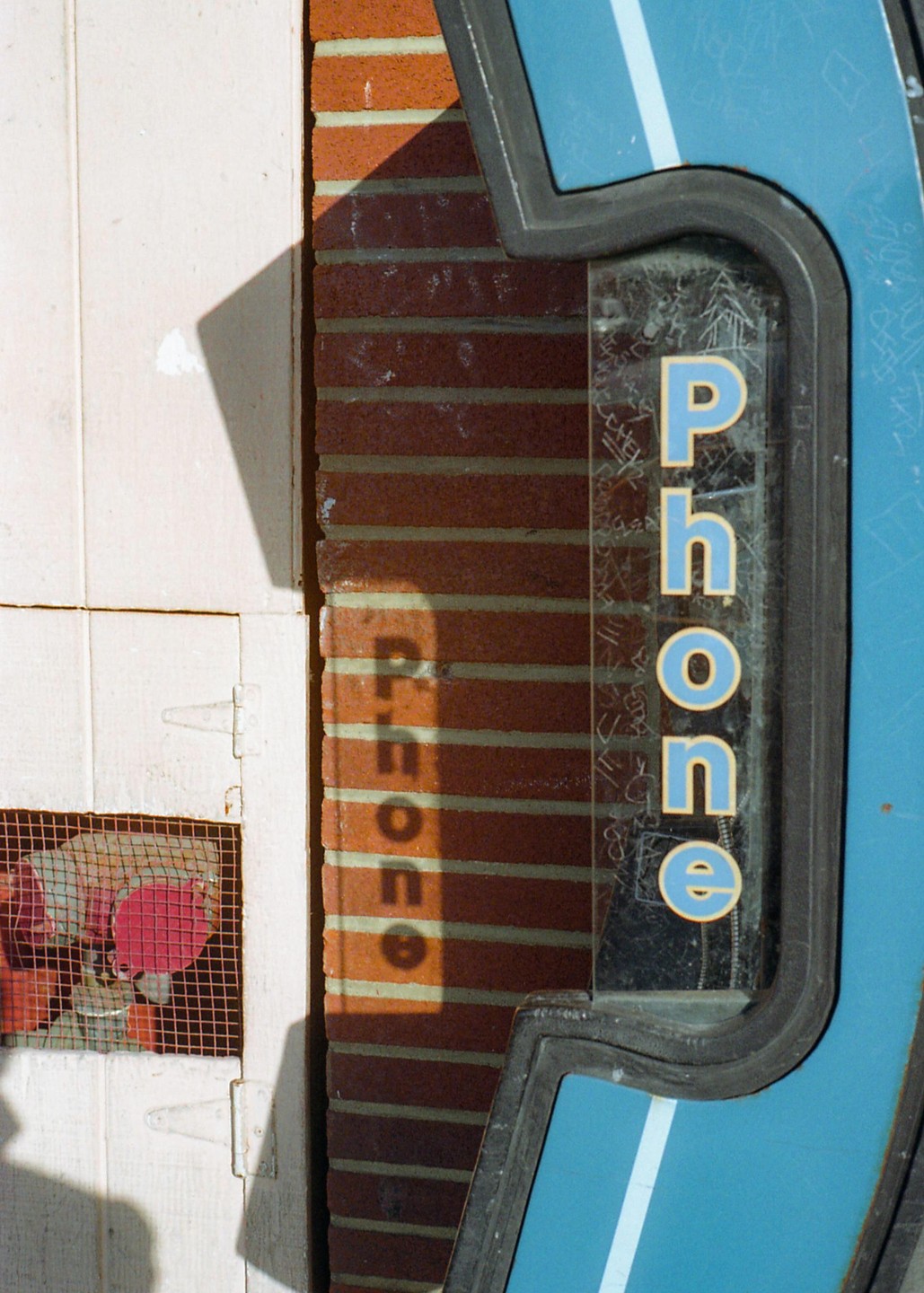 The word "Phone" is visible on a blue sign next to a brick wall, with its shadow cast on the wall.