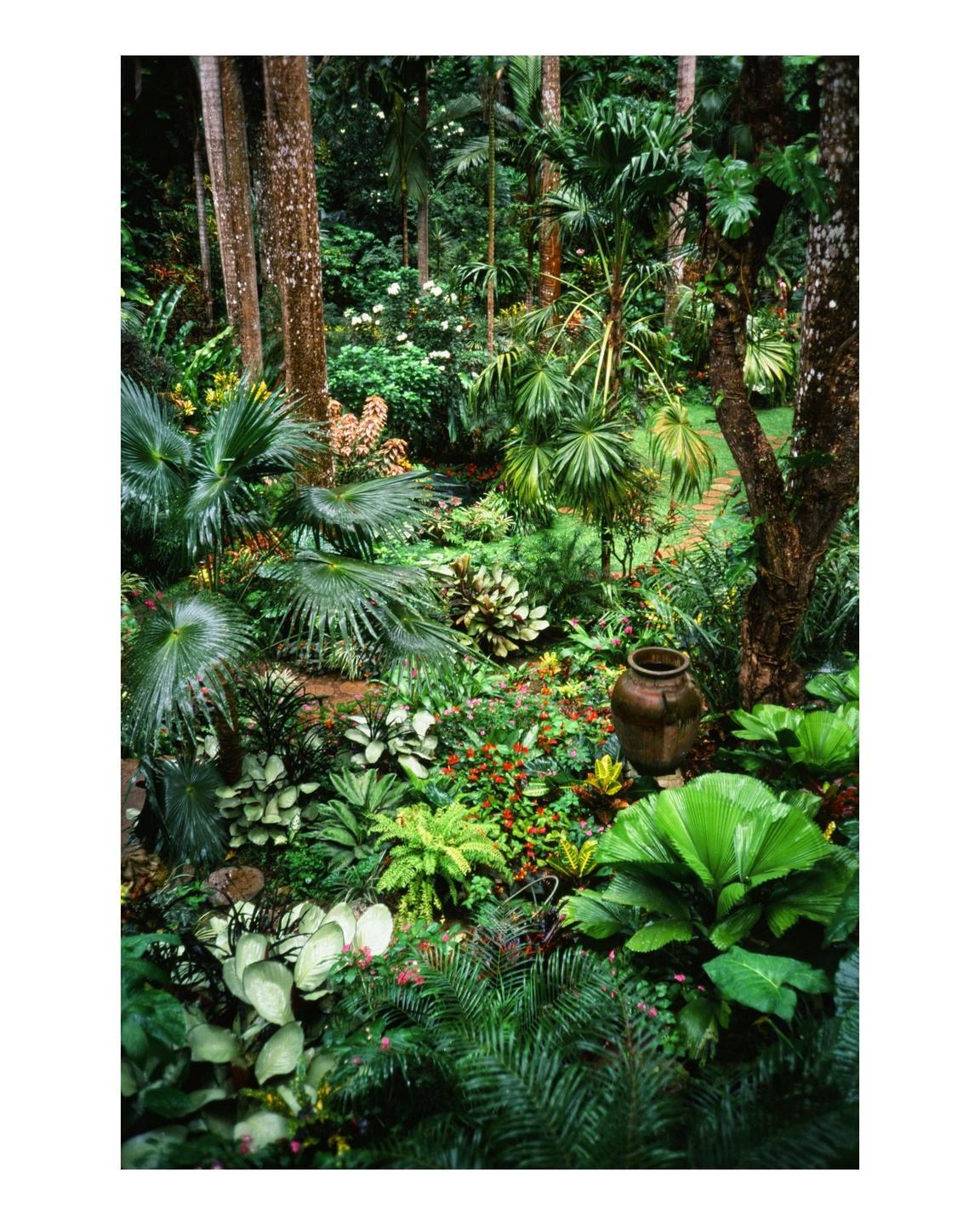 A lush tropical garden with various plants and trees features a large ceramic pot on the right.