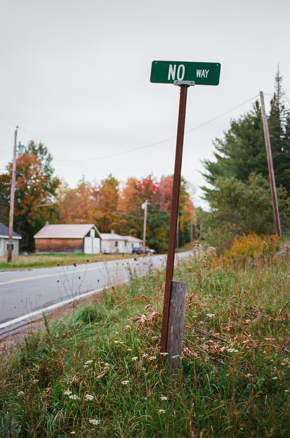 A green "NO WAY" sign stands by a road with autumn trees and houses in the background.
