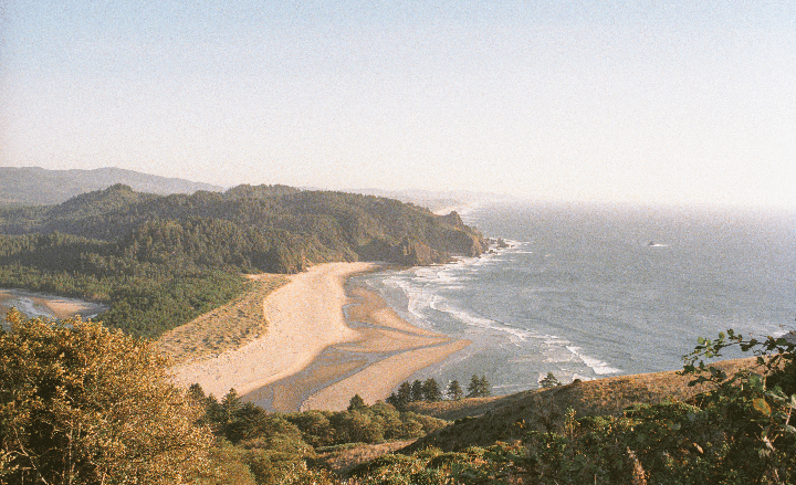 An aerial view shows a sandy beach next to a forest and the ocean.