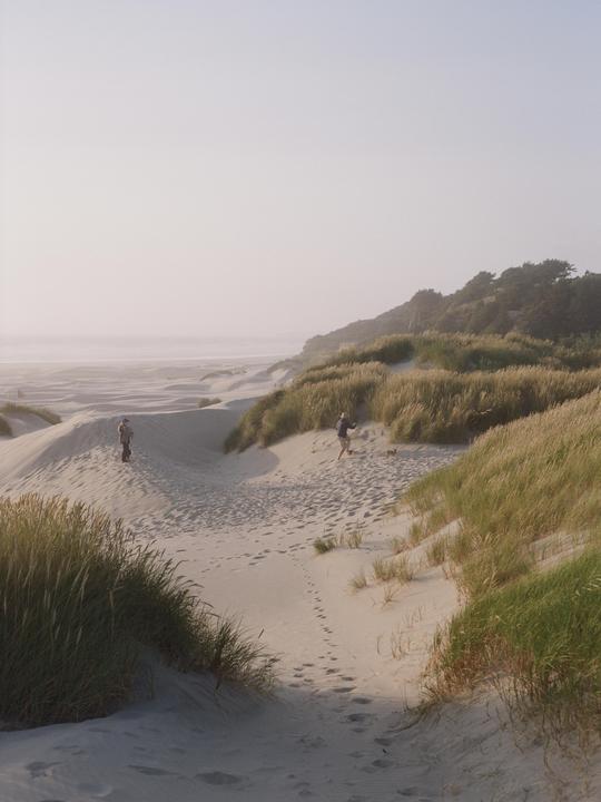 Two people walk on a sandy path between grassy dunes with the ocean in the background.