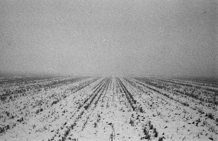 A snow-covered field with rows of stubble extends into the hazy distance under a gray sky.