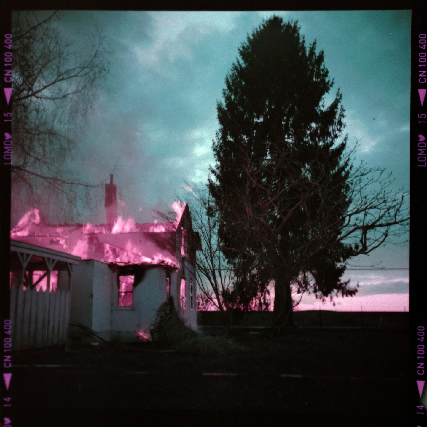 A house is engulfed in pink flames next to a large evergreen tree under a teal sky.