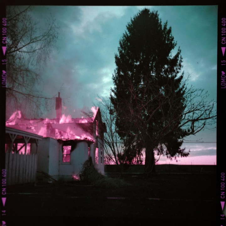 A house is engulfed in pink flames next to a large evergreen tree under a teal sky.