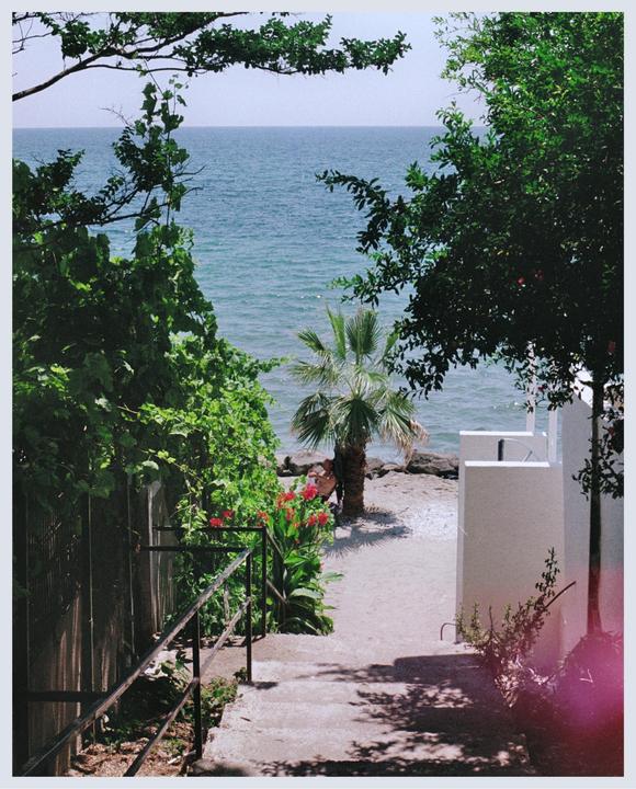 A concrete staircase with a metal railing leads down to a beach with a palm tree and the ocean.