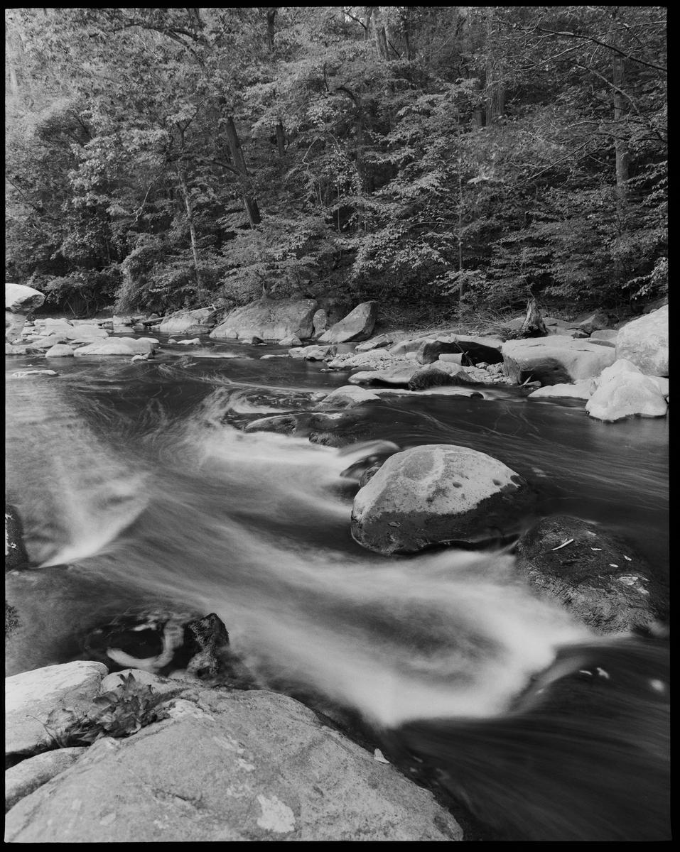 A river flows over rocks with trees on the bank in the background.