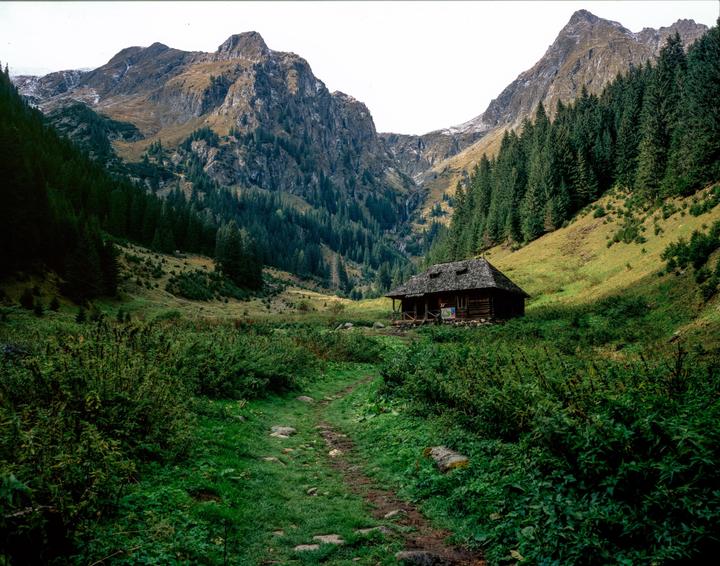 A wooden cabin sits in a lush green valley surrounded by mountains and pine trees.