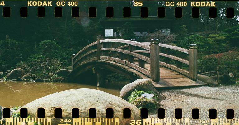 A wooden bridge crosses over a body of water in a lush garden.