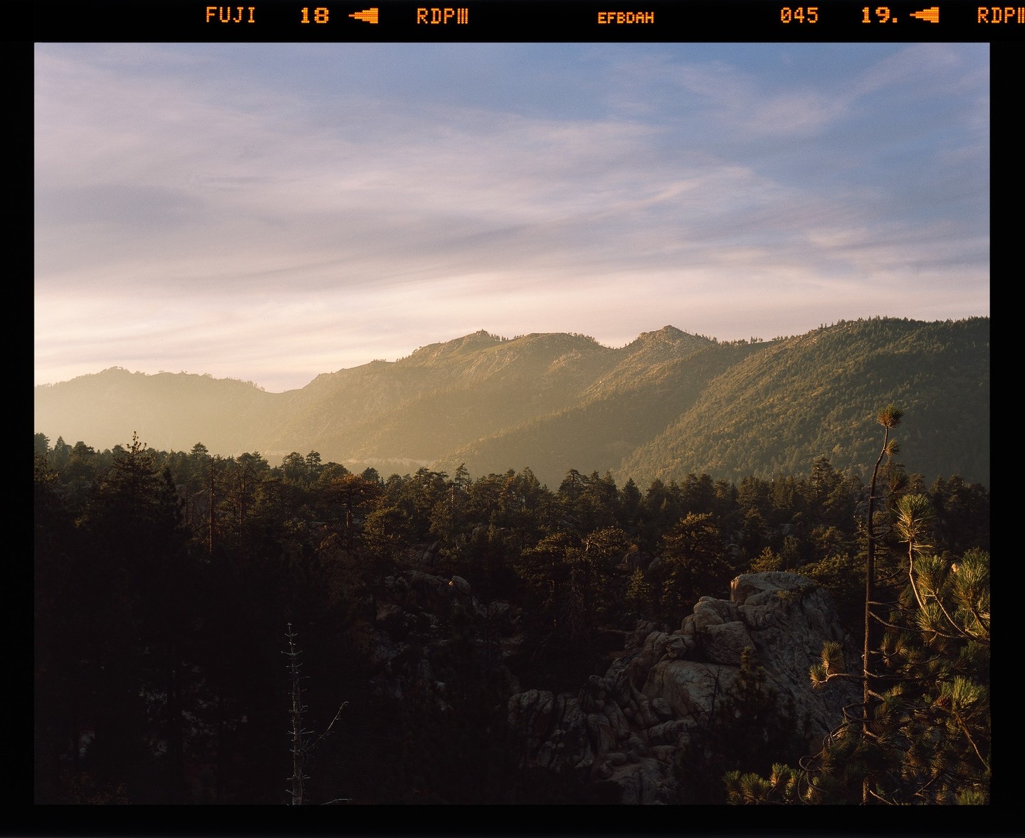 A mountain landscape is covered in pine trees and bathed in the warm light of sunset.