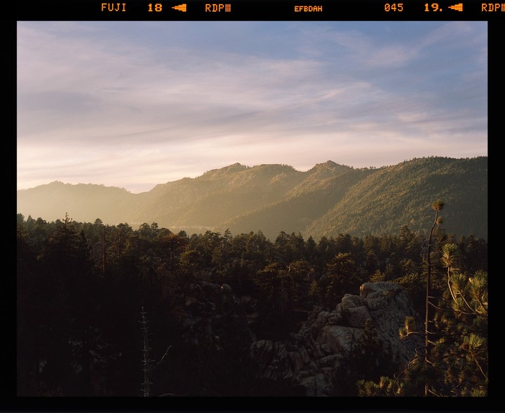 A mountain landscape is covered in pine trees and bathed in the warm light of sunset.