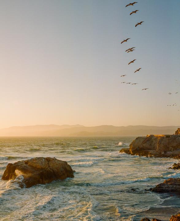A flock of birds flies over a rocky coastline with waves crashing against the shore at sunset.