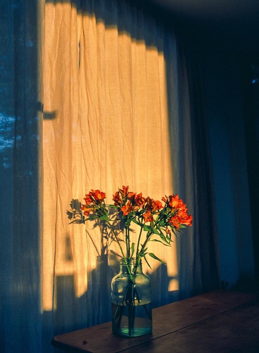 A vase of orange flowers sits on a wooden table in front of a curtain illuminated by golden hour light.