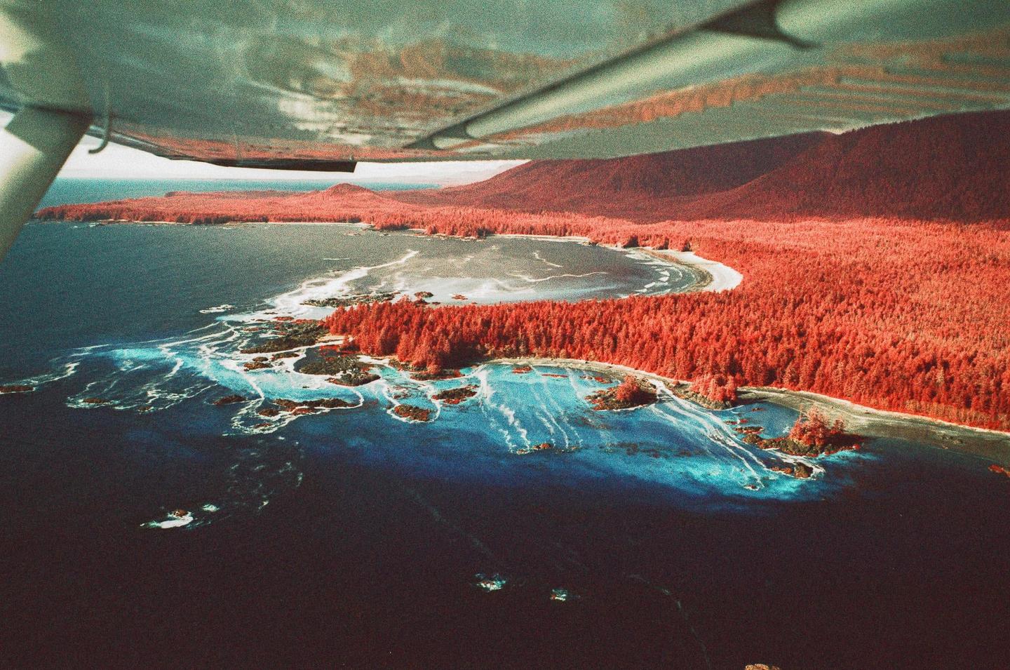 An aerial view shows a coastline with red trees and blue water, seen from under an airplane wing.