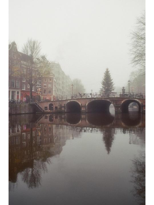 A bridge with a Christmas tree on it spans a canal lined with buildings on a foggy day.