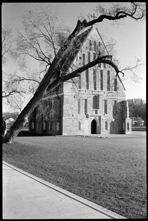 A large, bare tree branch extends diagonally across the frame in front of a stone church with a triangular roof.