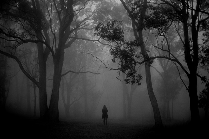 A person stands in a foggy forest with tall trees.