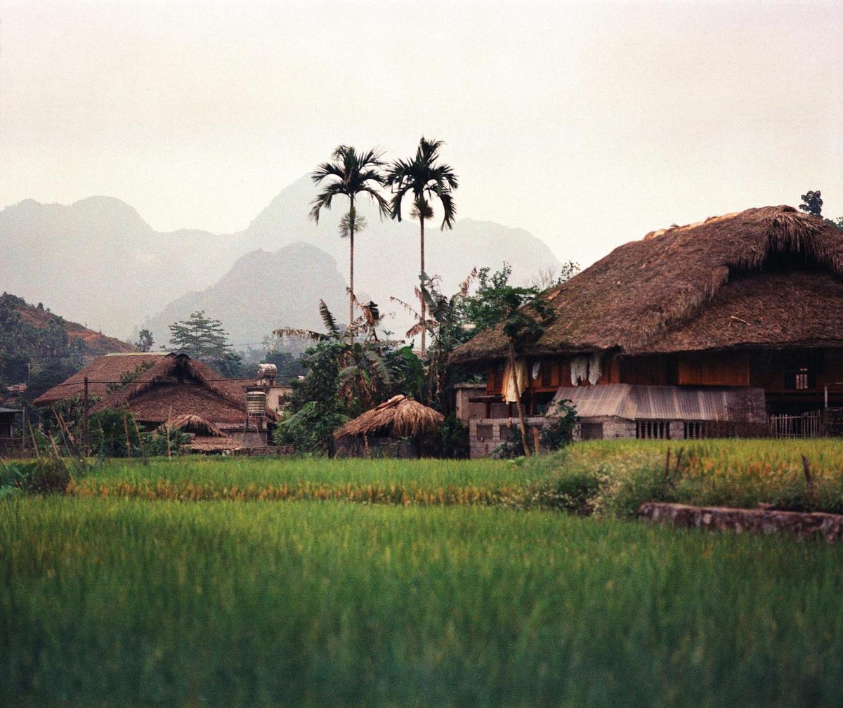 A village with thatched-roof houses and palm trees is nestled in a valley with mountains in the background.