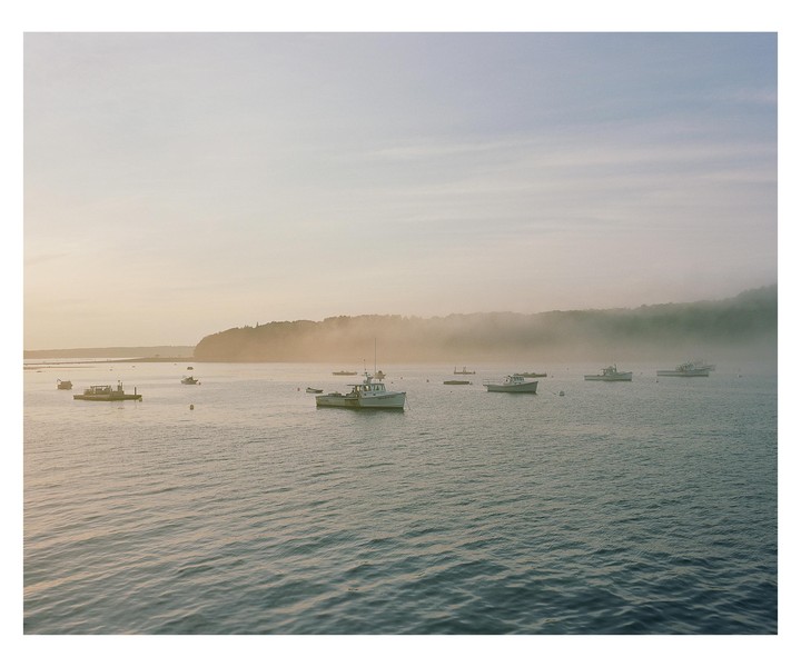 Several boats are anchored in a misty bay with a tree-covered hill in the background.