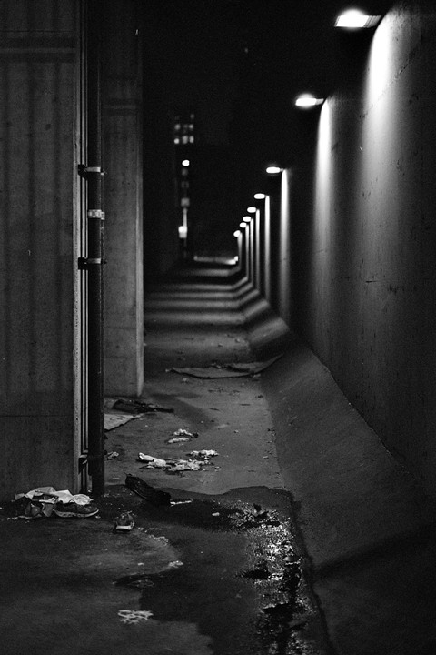 A dark, narrow alleyway is illuminated by a row of lights on the right wall, with debris and water on the ground.