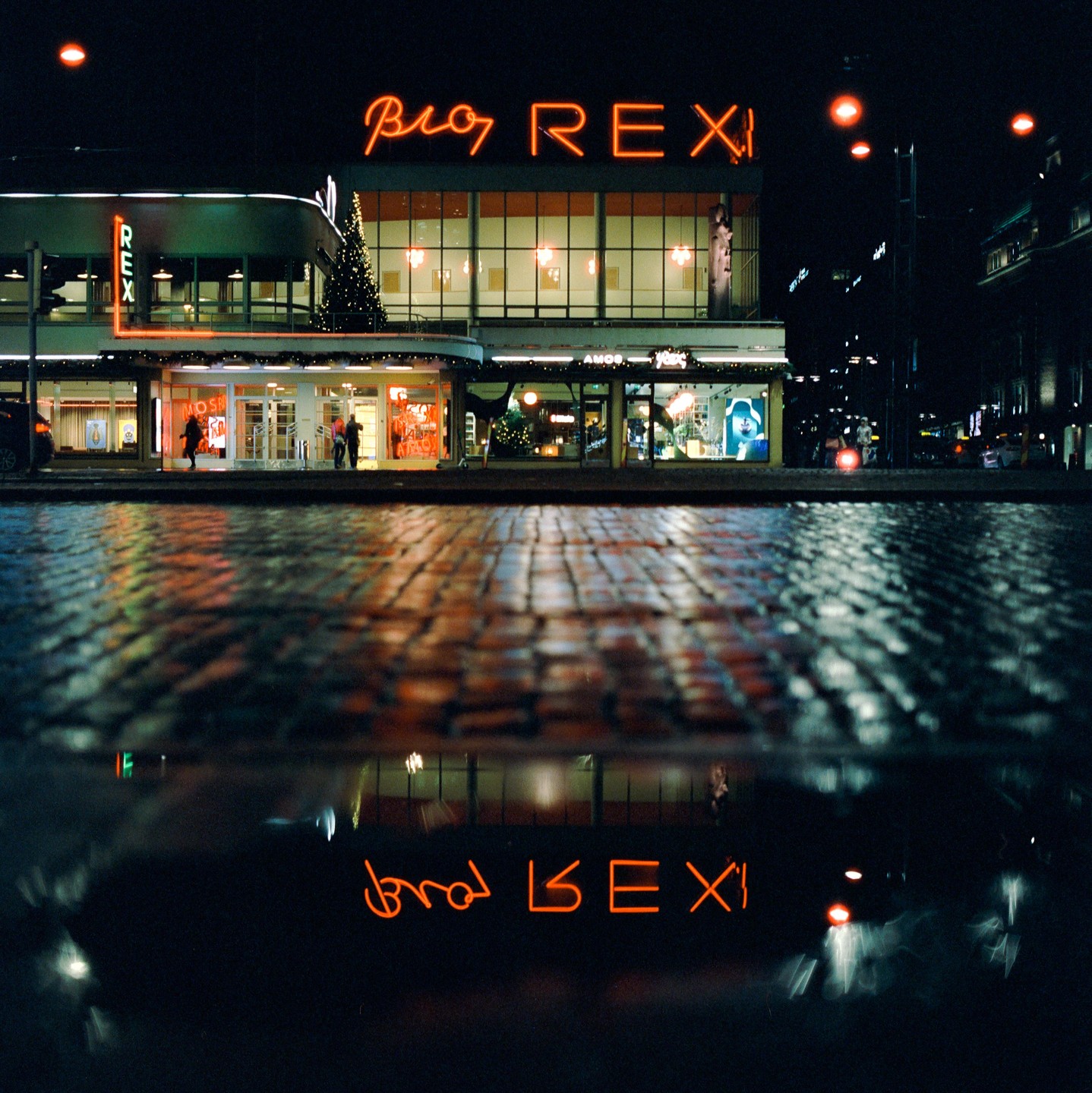 A neon sign for Bio Rex is reflected in a wet street at night.