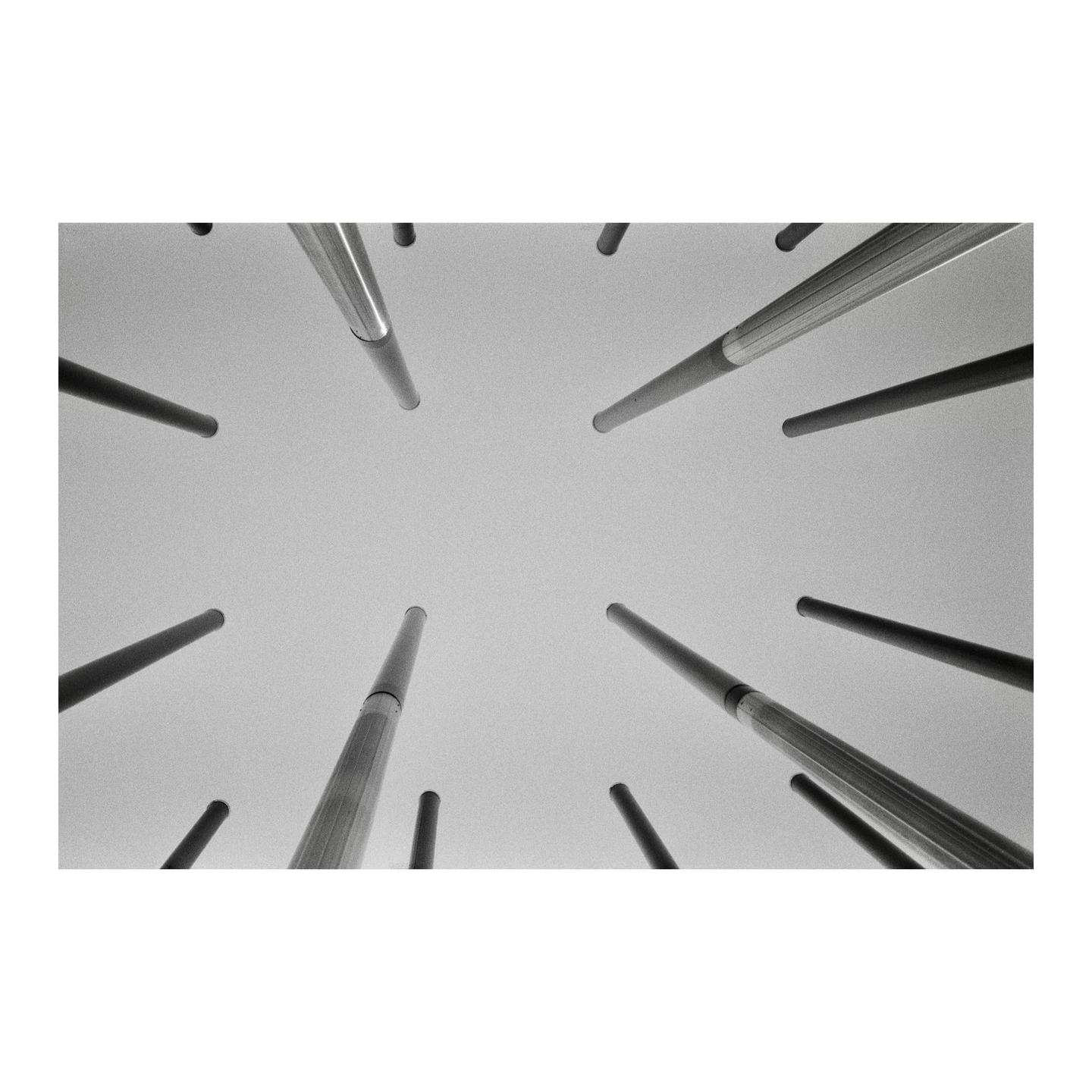 A low-angle view shows many poles pointing towards the sky.