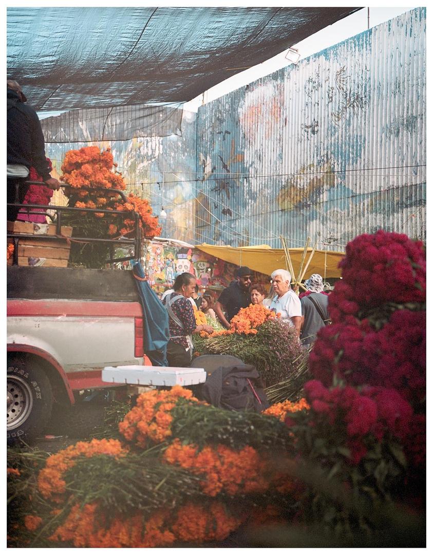 Día de muertos flower market - Portra 400 - Fuji GS645, shot on FUJIFILM GS645