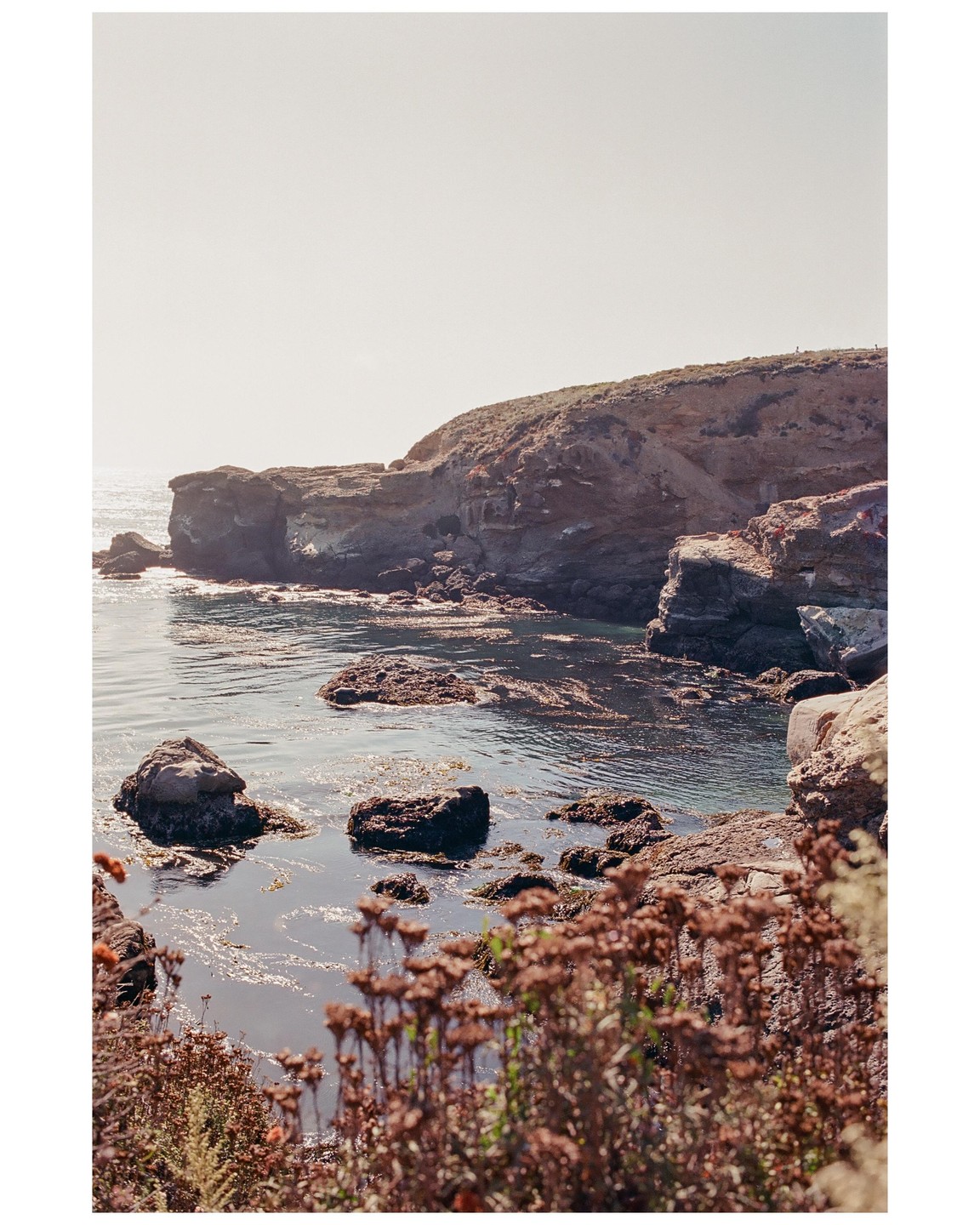 A cove with rocky cliffs and calm water is seen from a high vantage point with dry plants in the foreground.