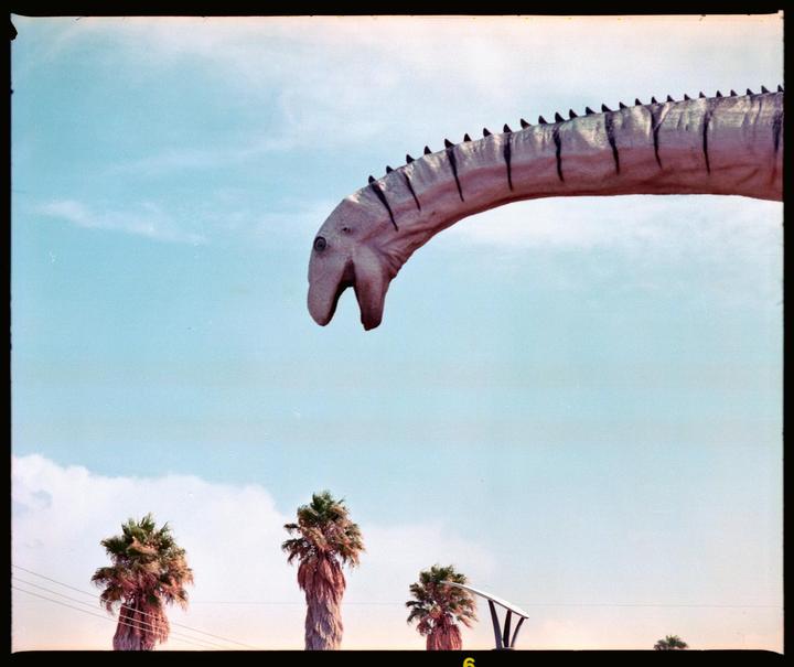 A large dinosaur statue with a long neck is visible against a blue sky with palm trees below.