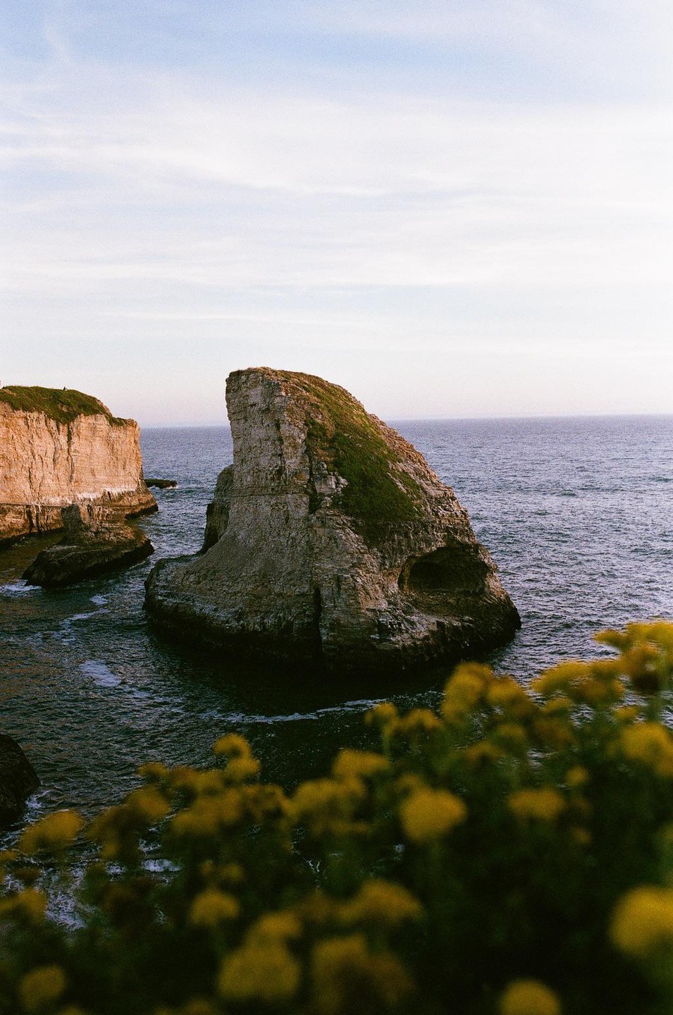 A large rock formation resembling a shark fin rises from the ocean, with yellow flowers in the foreground.