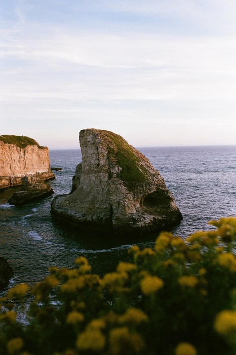A large rock formation resembling a shark fin rises from the ocean, with yellow flowers in the foreground.