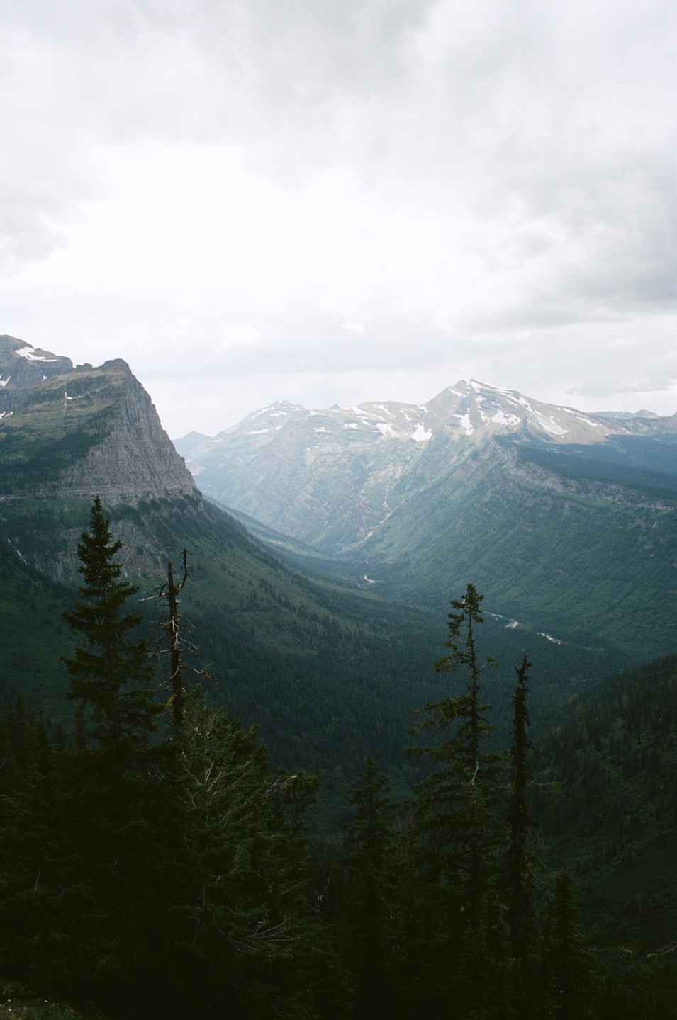 A vast mountain landscape is visible under a cloudy sky, with evergreen trees in the foreground and a valley stretching into the distance.