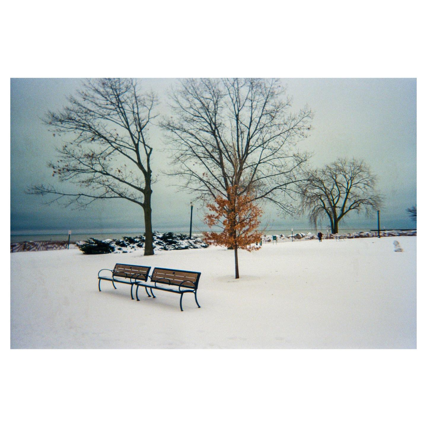 Two empty park benches sit in a snow-covered park with bare trees and a body of water in the background.