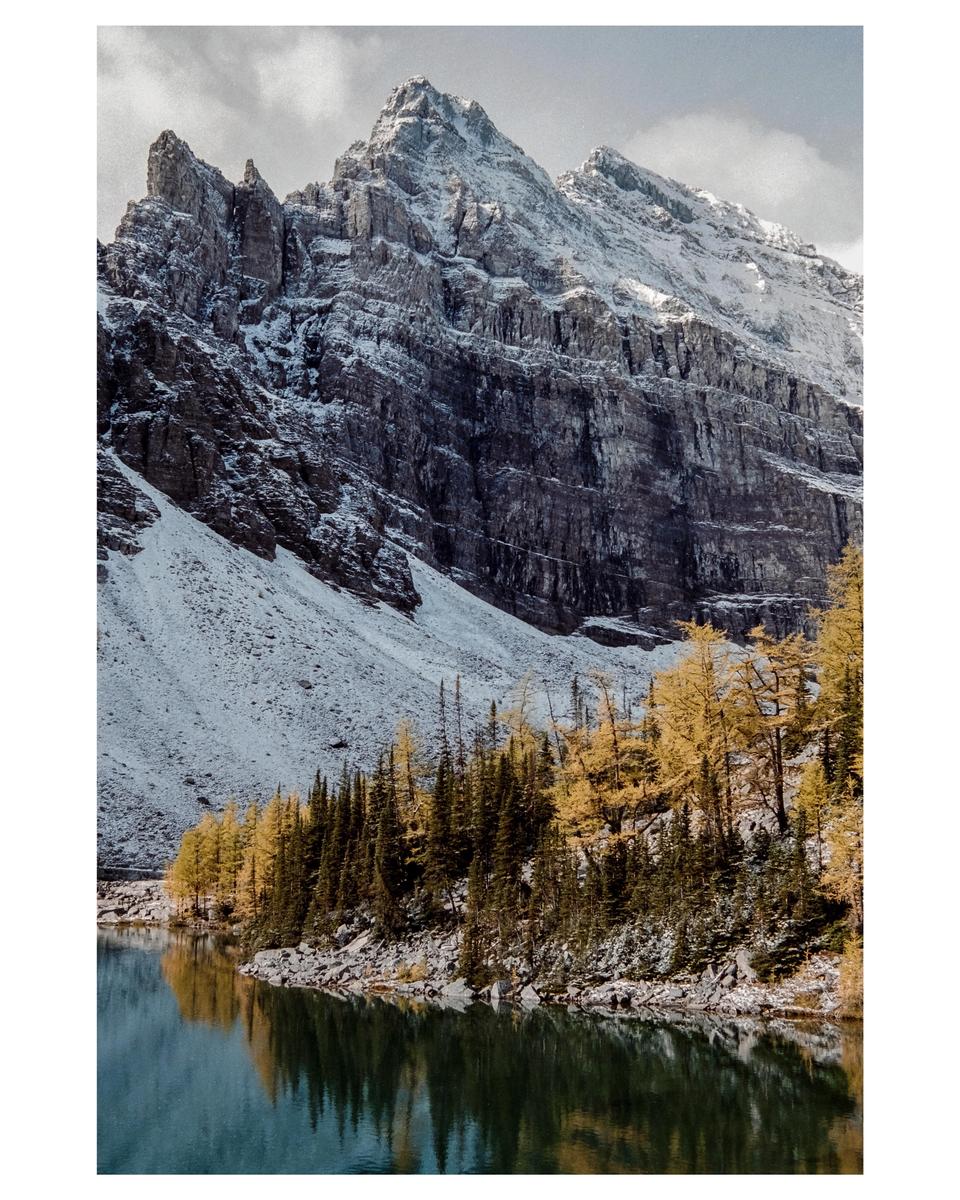 A snow-covered mountain rises above a lake with a shoreline of green and yellow trees.
