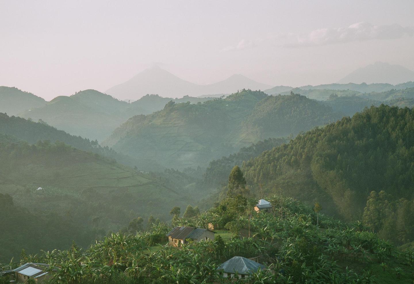 A hazy landscape shows houses nestled among trees on a hillside with mountains in the background.