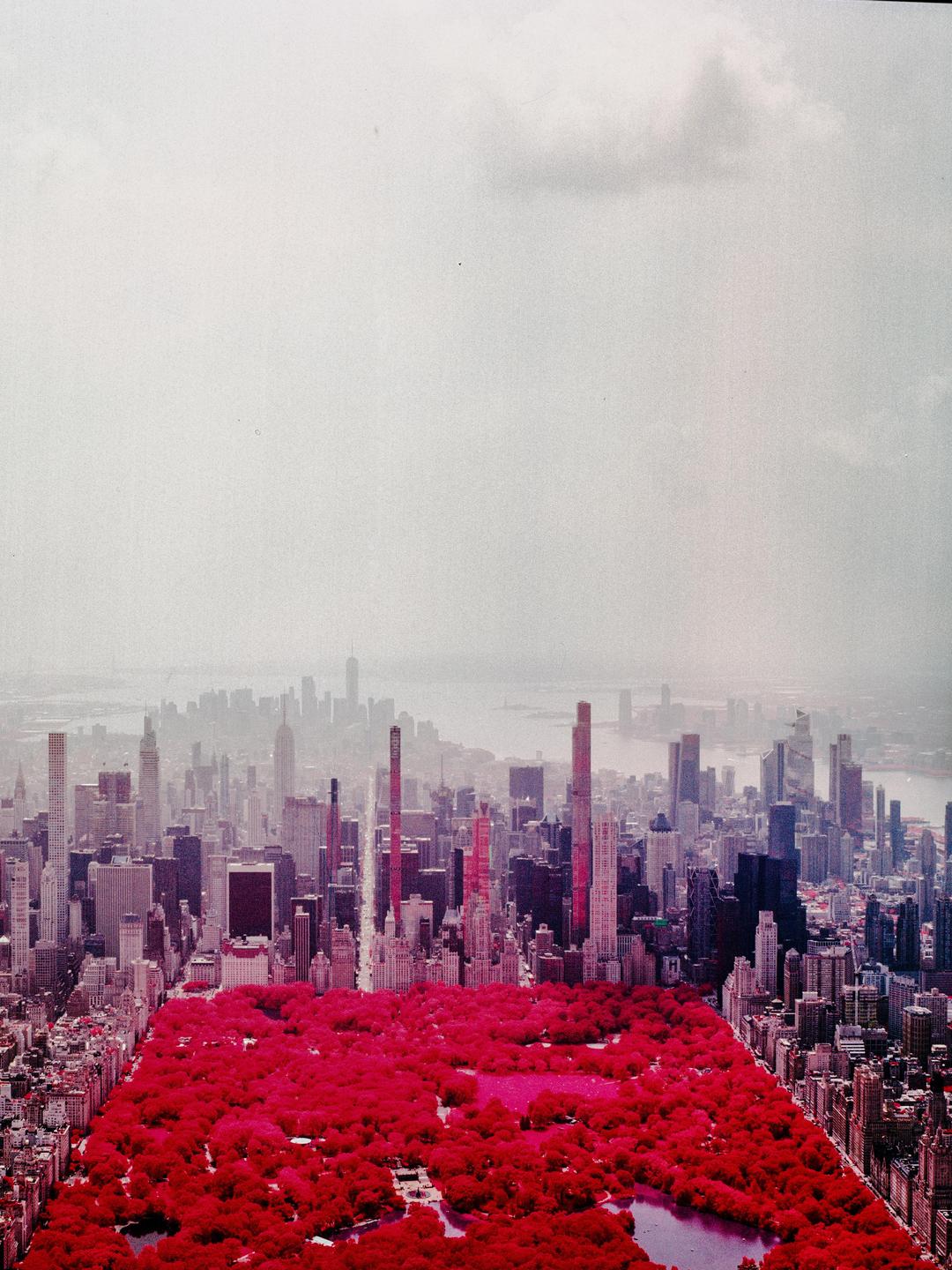 An aerial view shows a city skyline with a large park in the foreground, its trees appearing bright red.