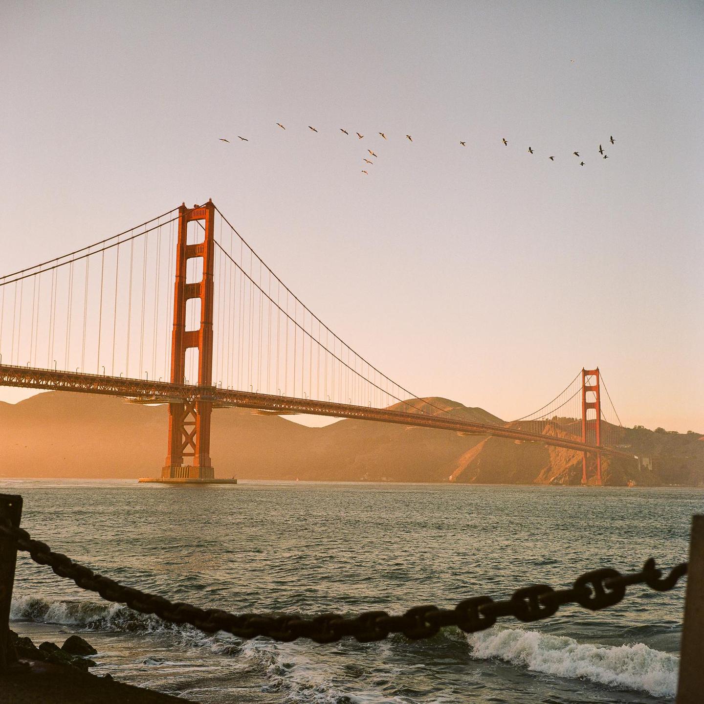 The Golden Gate Bridge spans a body of water with hills in the background and birds flying overhead.