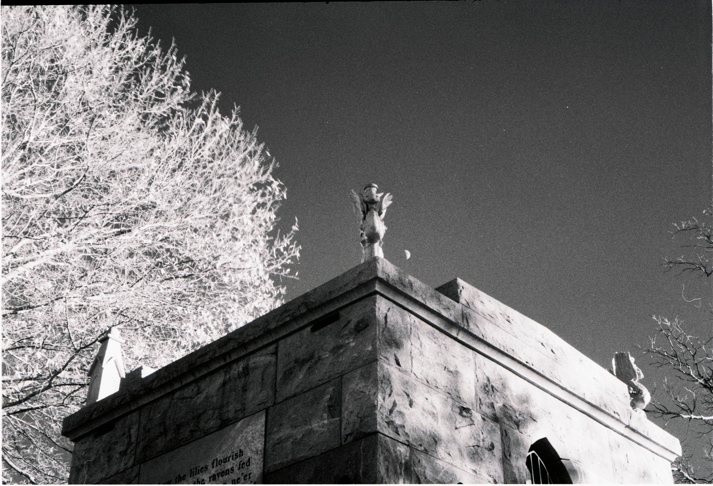 A statue of an angel stands on a stone building with a tree and the moon in the background.