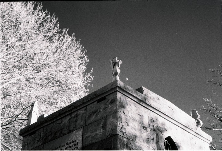 A statue of an angel stands on a stone building with a tree and the moon in the background.
