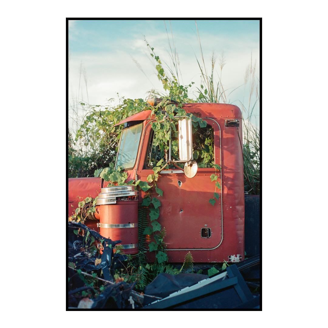A red truck cab is overgrown with green vines and tall grass under a bright sky.