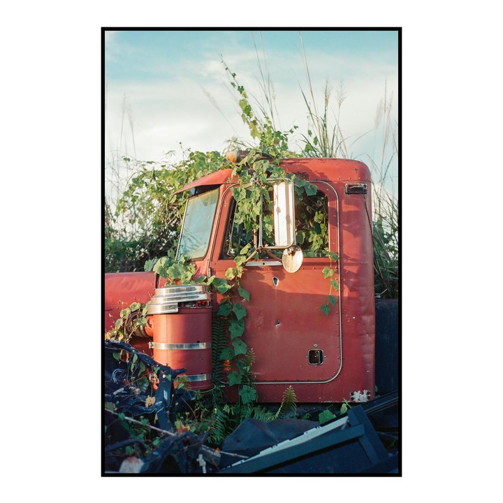 A red truck cab is overgrown with green vines and tall grass under a bright sky.
