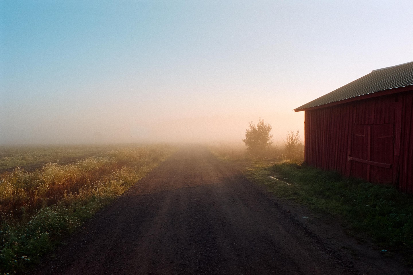 A dirt road leads into a foggy field with a red barn on the right.