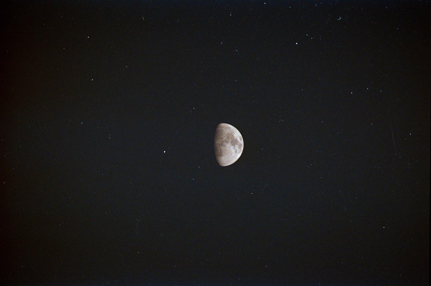 A half moon is visible in a dark sky filled with tiny white specks.