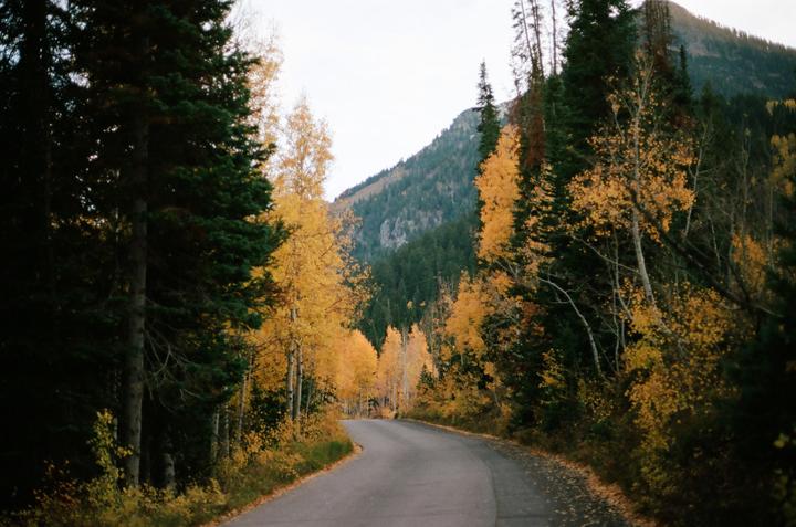 A winding road is surrounded by trees with autumn foliage and evergreen trees, with a mountain in the background.