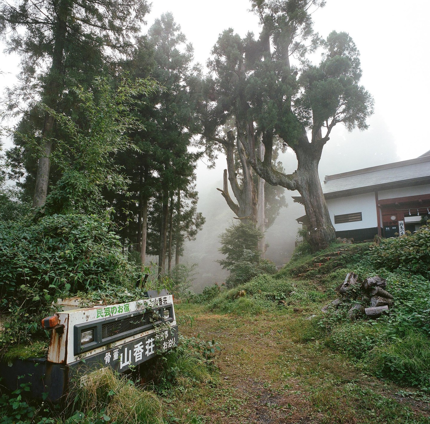 A white building with a dark roof is nestled among tall trees on a foggy hillside, with a rusted vehicle covered in foliage in the foreground.