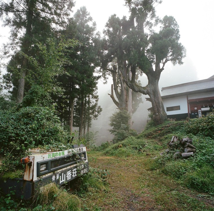 A white building with a dark roof is nestled among tall trees on a foggy hillside, with a rusted vehicle covered in foliage in the foreground.