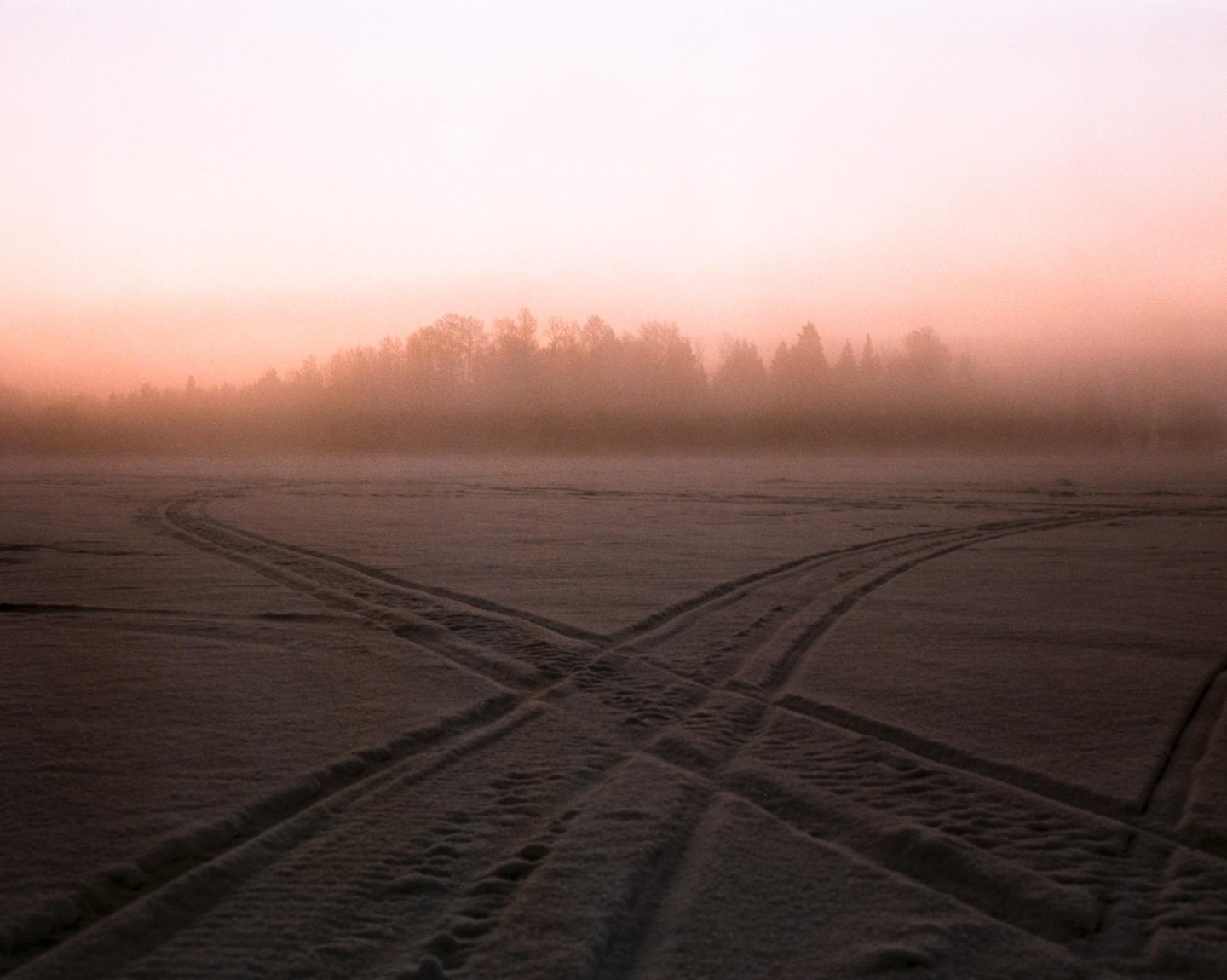 Tire tracks cross on a snow-covered field with a forest in the distance under a hazy, pink sky.