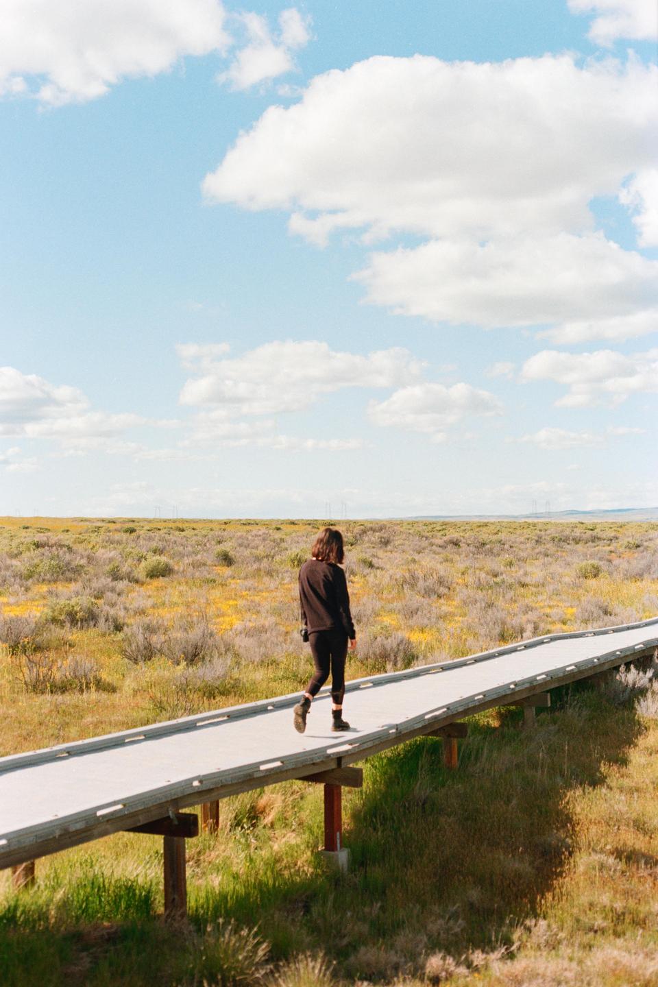 A woman walks along a boardwalk through a field of yellow flowers and green shrubs under a blue sky with white clouds.